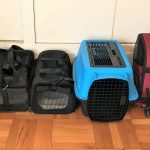 10 Best Cat Carriers on Amazon